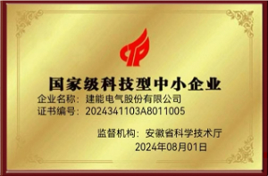 国家级科技型中小企业